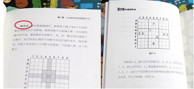 自从孩子看了这套数独游戏书逻辑思维蹭蹭地提高！买球软件(图24)