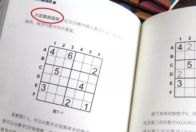 自从孩子看了这套数独游戏书逻辑思维蹭蹭地提高！买球软件(图3)